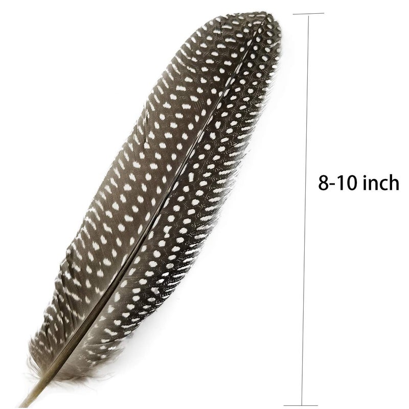 HAPPY FEATHER 6-9 inch Natural Guinea Wing Plumage Feather for DIY Craft, Jewelry and Clothing Decoration Pack of 20-Natural - Image 2